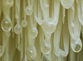 Bearded Tooth Mushroom ، Satyr's Beard ، Bearded Hedgehog Mushroom ، pom pom mushroom ، Bearded Toot